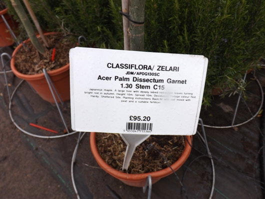 Classiflora Open Day March 16 - GTN 27.jpg