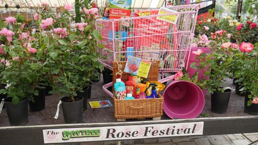 Baytree Rose Festival 230618_GTN012.jpg