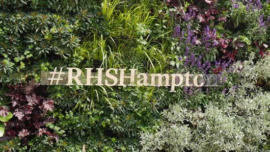 RHS Hampton Court 080718_GTN042.jpg