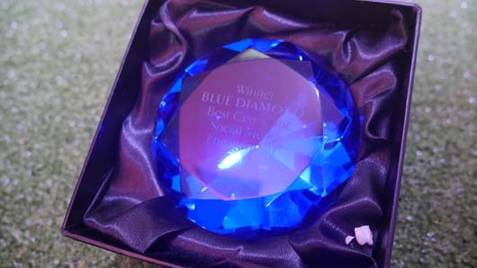 Blue Diamond Awards 2019 190319_GTN121.jpg