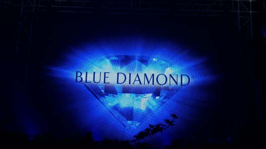 Blue Diamond Awards 2019 190319_GTN204.jpg