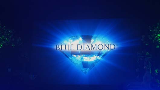Blue Diamond Awards 2020 120320_GTN082.jpg