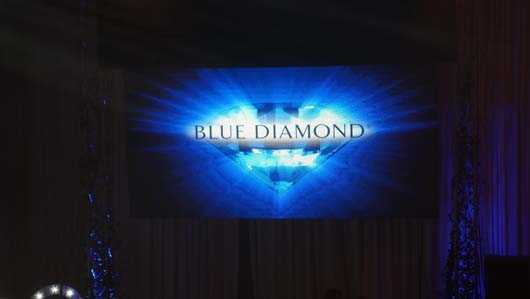 Blue Diamond Awards 2020 120320_GTN115.jpg