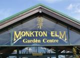 Monkton Elm