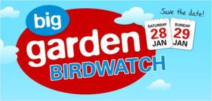 Big garden bird watch