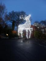 An impessive lit reindeer welcomes customers at the entrance to Garden Pride Garden Centre at Ditchling, West Sussex.