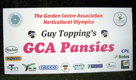 Guy Topping's GCA Pansies