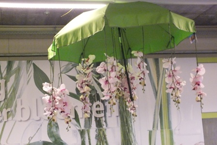 An orchid unbrella over the gift wrapping area.jpg