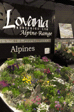 Lovania Nurseries were last year's Best Plant Display winners