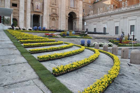 Vatican Flowers 150417_GTN006.jpg