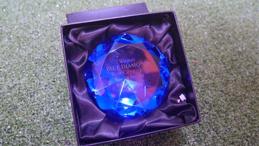 Blue Diamond Awards 2019 190319_GTN122.jpg