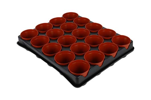 70200052_seed_and_cutting_tray_20_pot_co.jpg