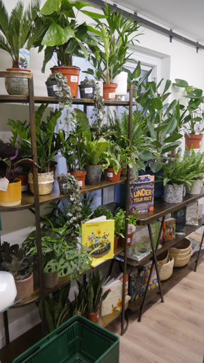 The Plant Room 061121GTN 023.jpg