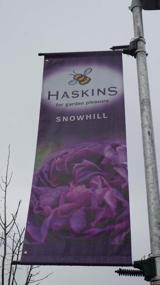 Haskins Snowhill 100320_GTN029.jpg
