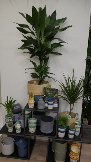 The Plant Room 061121GTN 027.jpg