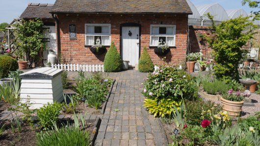 Blue Diamond Bridgmere Garden Opening GTN090525 075.jpg