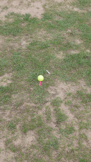 GIMA Golf Day 2026 GTN040626 018.jpg