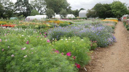 Mr Fothergills Press Day 2024 GTN070824 018.jpg