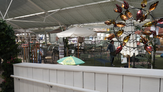 Blue Diamond Bridgmere Garden Opening GTN090525 136.jpg