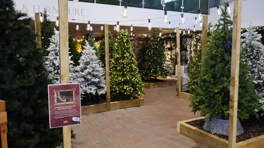 BD Blackdown GTN221025 111.jpg