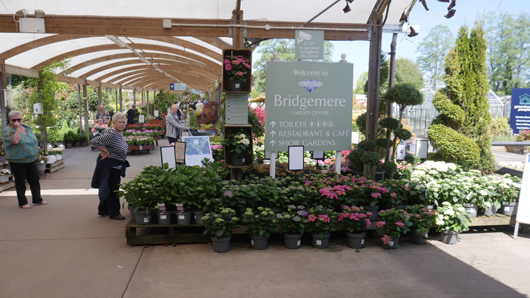 Blue Diamond Bridgmere Garden Opening GTN090525 088.jpg