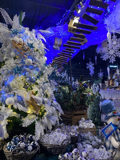 Summerhill - Oct 2025 GTN221025 049.jpg