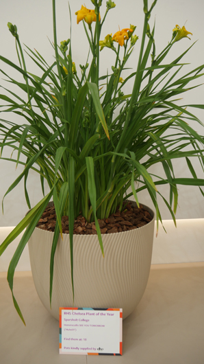 Chelsea 2025 Press Day GTN190525 105.jpg