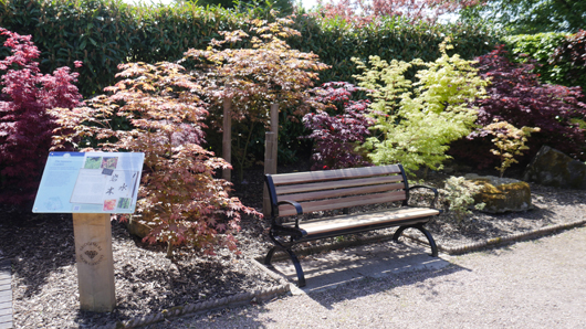 Blue Diamond Bridgmere Garden Opening GTN090525 055.jpg