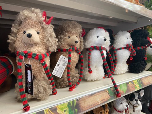 Summerhill - Oct 2025 GTN221025 029.jpg