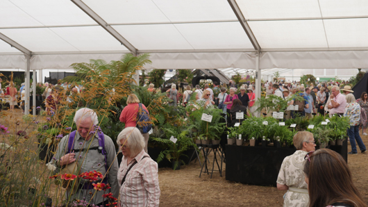RHS Sandringham 2026 GTN230726 024.jpg