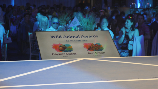 Blue Diamond Awards 2026 GTN190326 134.jpg