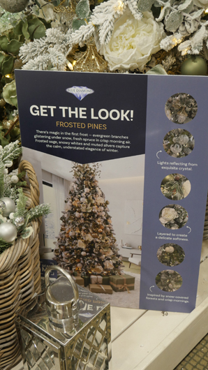 Blue Diamond Peterborough Christmas 2026 GTN221026 068.jpg