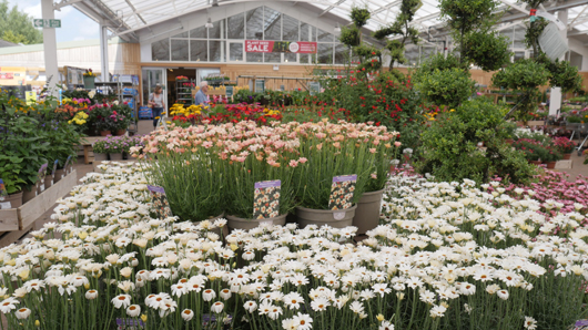 Scotsdales - June 2025 GTN140625 067.jpg