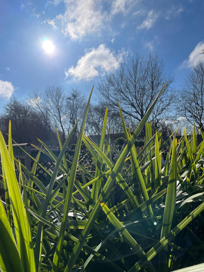 BGC Havant Opening GTN160325 026.jpg