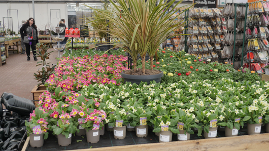 Gates at Woodlands GTN150325 031.jpg