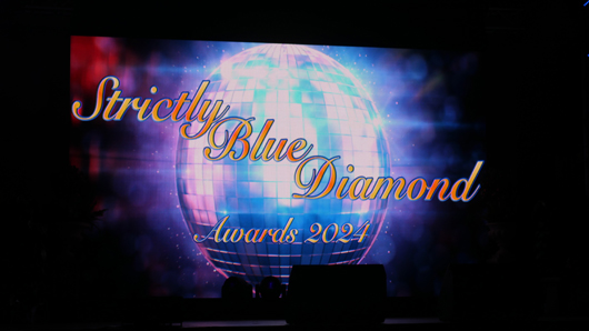 Blue Diamond Awards 2024 GTN070324 027.jpg