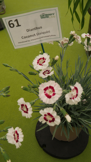 BBC GW Live 2025 Press Day GTN110625 041.jpg