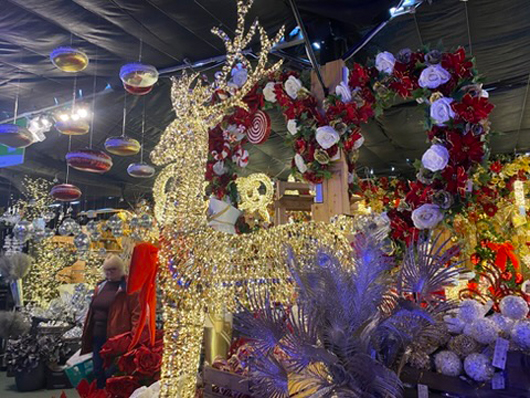 Summerhill - Oct 2025 GTN221025 065.jpg