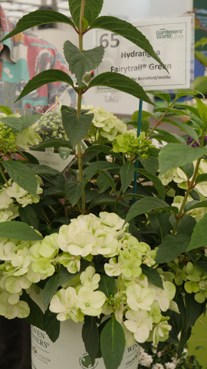 BBC GW Live 2025 Press Day GTN110625 048.jpg