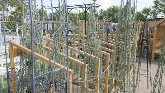 Scotsdales - June 2025 GTN140625 057.jpg