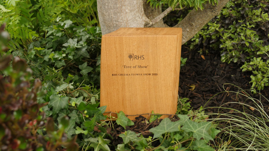 Chelsea 2025 Press Day GTN190525 143.jpg