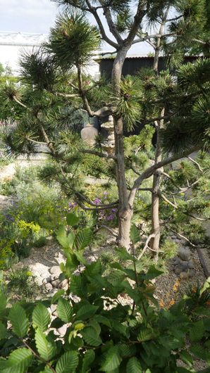 BBC GW Live 2025 Press Day GTN110625 021.jpg