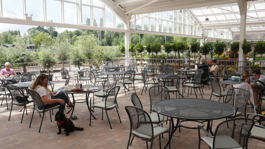 Scotsdales - June 2025 GTN140625 033.jpg