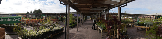 BGC Grantham Opening GTN030426 047.jpg