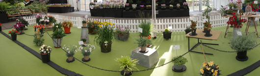 BBC GW Live 2025 Press Day GTN110625 115.jpg