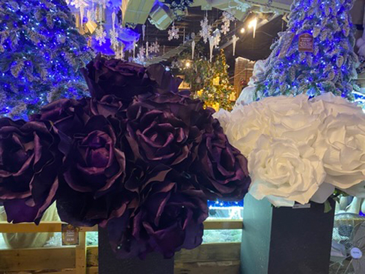 Summerhill - Oct 2025 GTN221025 055.jpg