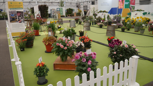 BBC GW Live 2025 Press Day GTN110625 111.jpg