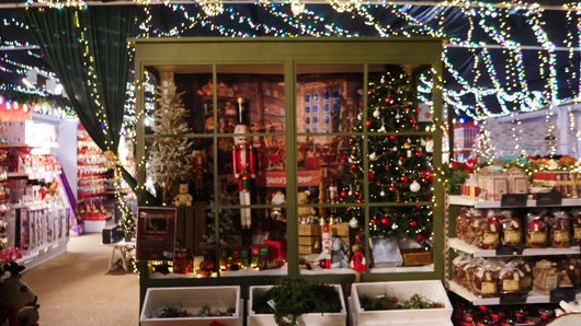 BD Blackdown GTN221025 041.jpg