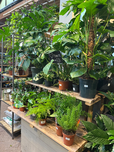 Ransoms Jersey - Oct 2025 GTN-HG201025 036.jpg