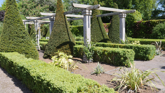 Blue Diamond Bridgmere Garden Opening GTN090525 063.jpg